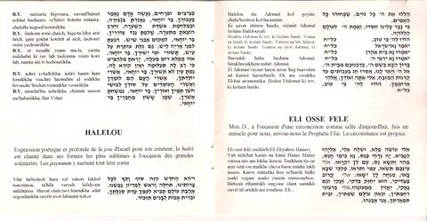 C:\Users\Ruthy\Desktop\rrrrrrr