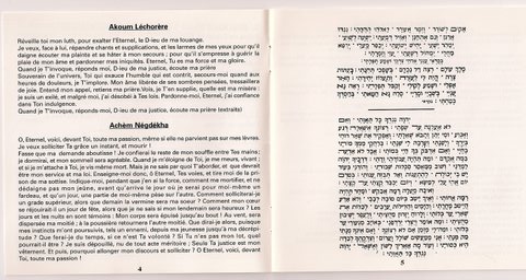 C:\Users\Ruthy\Desktop\rrrrrrr