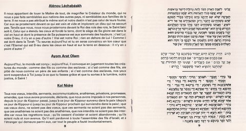 C:\Users\Ruthy\Desktop\rrrrrrr